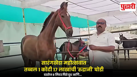 Sarangkheda Horse Festival