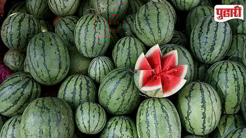Watermelon