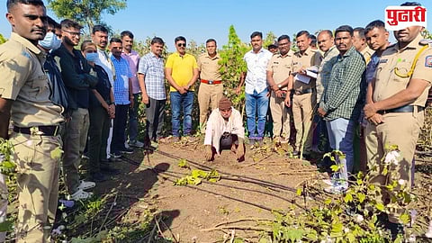 5 lakh ganja seized in Bhokardan