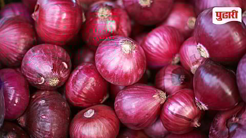 Onion