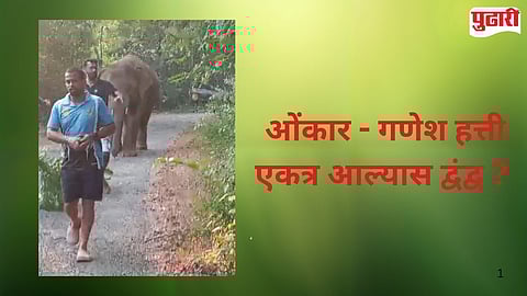 Dodamarg Elephant Entry