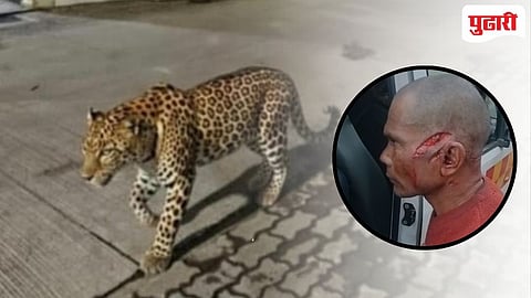 Nagpur Leopard Attack