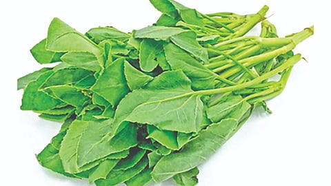 Chakvat Bhaji benefits