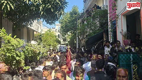 Nagpur wild animal rescue