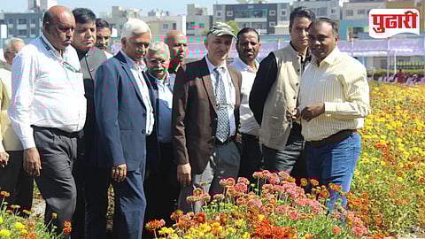 India Agriculture Export