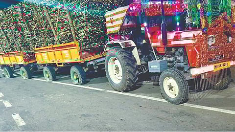 Sugarcane price protest