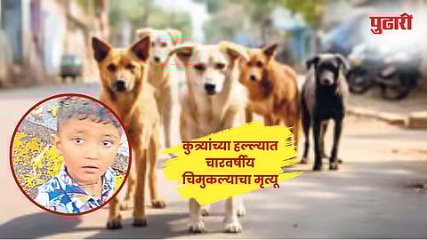 पिंपळगाव बसवंत (नाशिक)