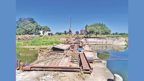 Beed irrigation issues