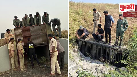 बिबट्याची पाहणी करताना किमान पंधरा दविस आधी अशा प्रकारे बोगद्यांना जाळ्या बसविण्यात आल्या तशाच जाळ्या आता इतर बोगद्यांना लावण्यात येणार आहेत.