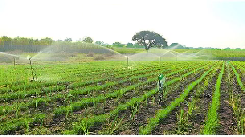 Sprinkler Irrigation