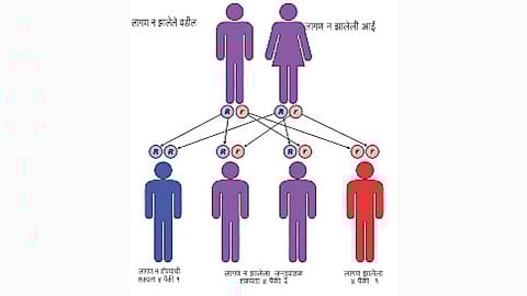 Sickle cell disease cases Nanded
