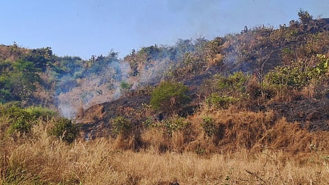 Thane forest fire