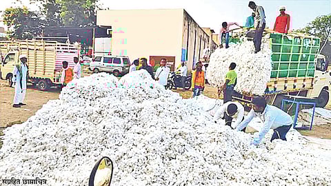 CCI procurement limit