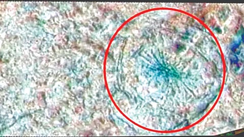 Europa spider patterns