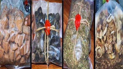 Thane Drugs Seized