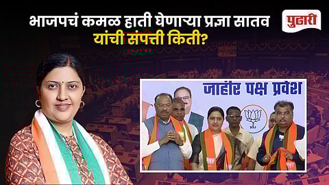 Pradnya Satav Net worth