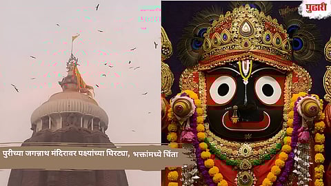Puri Jagannath Temple News