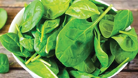 spinach-cooked-or-raw-which-is-more-beneficial