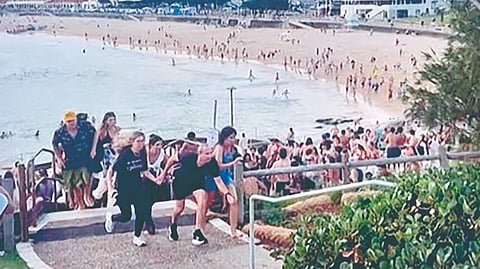 Bondi beach terror attack