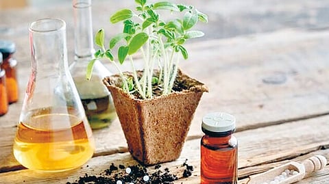 Agricultural Homeopathy