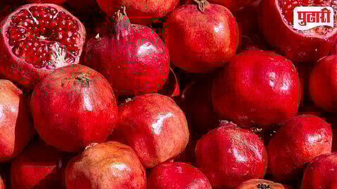 Pomegranate