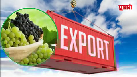 Grape Export News