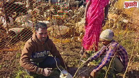 Kannad taluka leopard terror
