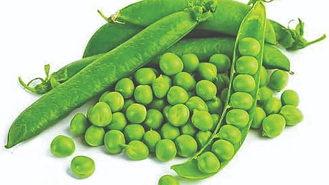 Green peas