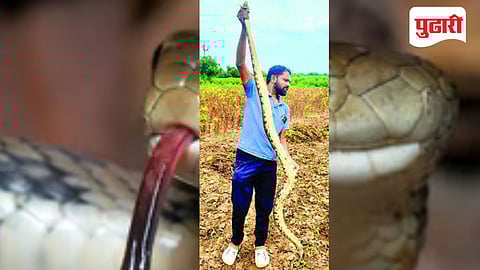 Deepak Chandar, Snake rescuer