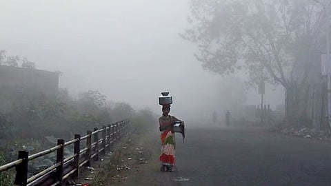 Severe cold weather impact