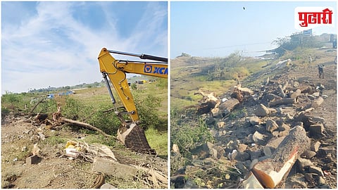 Ghod Dam Tree Cutting