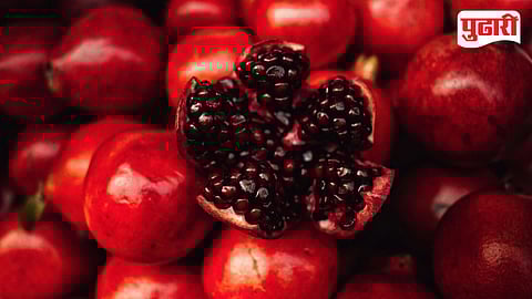 Pomegranate Price