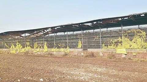 Bedkihal Poultry Fire