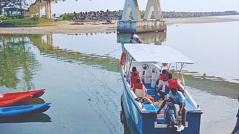 New Year Celebration