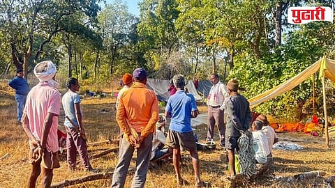 Chichpalli Junona Road Tiger Habitat