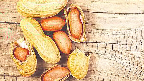 Groundnuts Winter Superfood