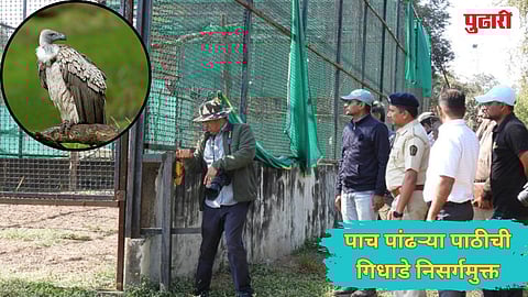 Tadoba National Park