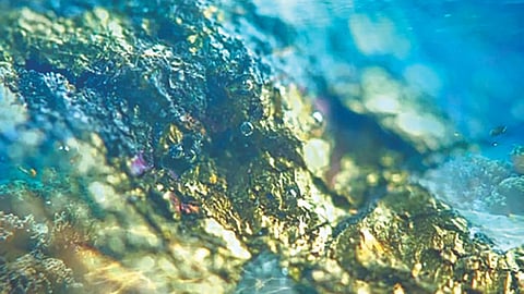 Gold discovered in ocean