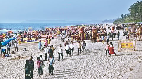 New Year Celebration