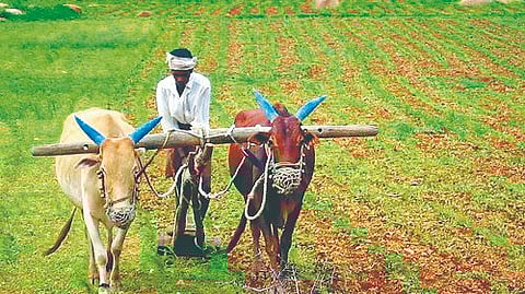 India economic growth