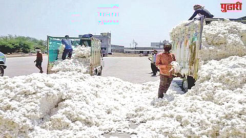 Cotton price crisis