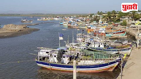 Satpati Pomfret Export