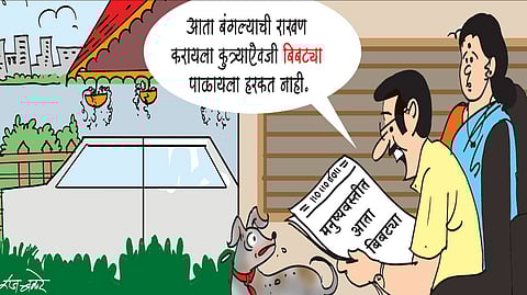 Leopard in human settlement