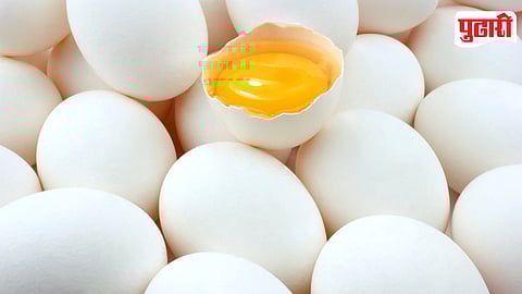 Eggs