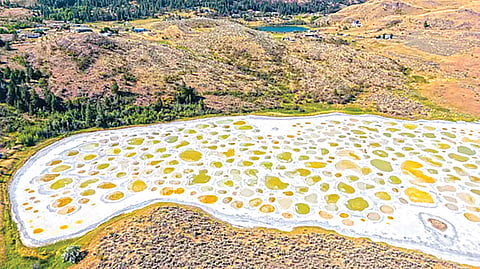 Spotted Lake