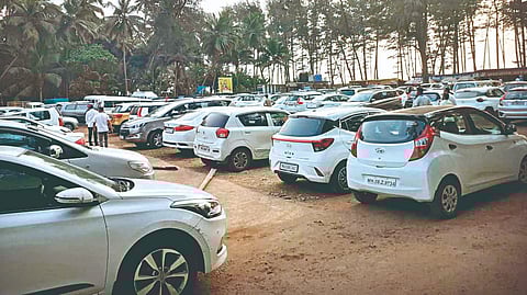 New Year Celebration