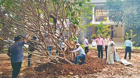 Airport land acquisition