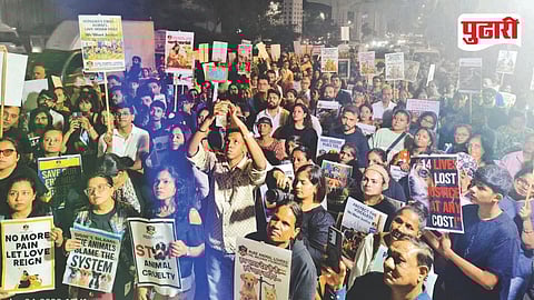 Animal lovers Protest