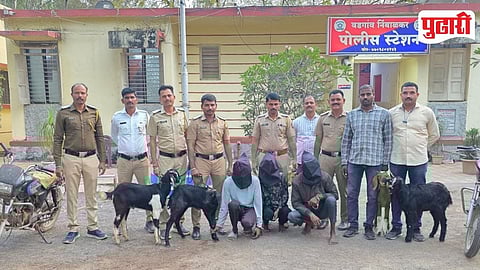 Baramati Livestock Theft