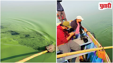 Ujani Dam Water Pollution